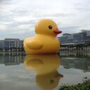 kien dan - @dan_kien - Twitter