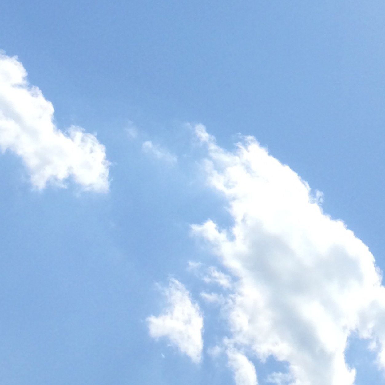 pancake_nutella's profile picture. Ironically i dnt lyk pancakes or nutella lol Nottingham