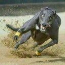 carlos borro alvarez - @carlosba637 - Twitter