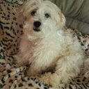 Sandra Kenny - @sandrakenny10 - Twitter