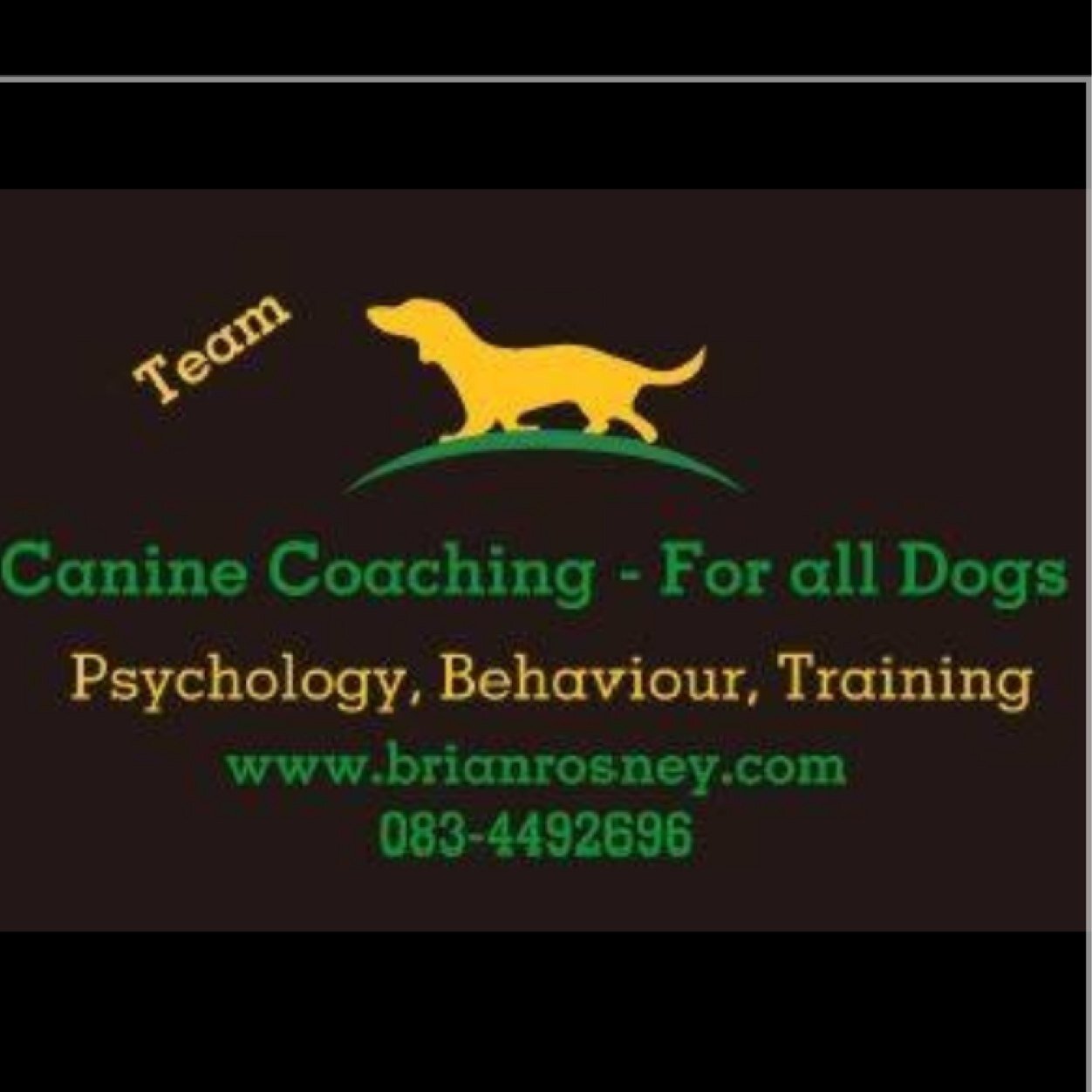 Dog behaviourist and training team. We aim to help dogs and their owners to enjoy and understand each other . http://t.co/TMIo0MA8io