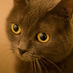 Junnn (@junnn) Twitter profile photo Junnn (@junnn) Twitter profile photo
