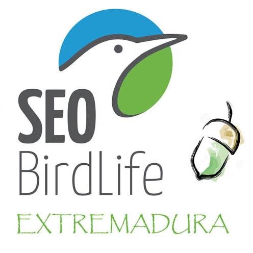 SEOExtremadura1 Profile Picture