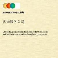 Consulting services and assistance for small and medium companies, that are seeking business opportunities in European Union or vice versa in China.