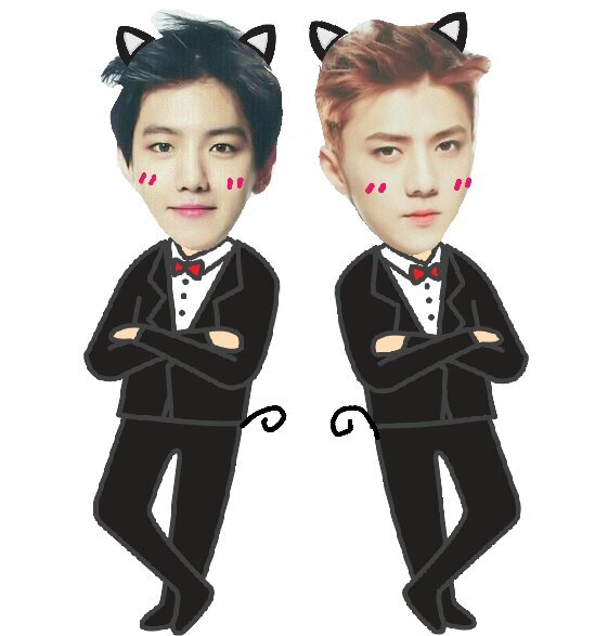 백현,세훈♡EXOJAPAN会員No.229【べくを仰ぐ会】会員NO.8