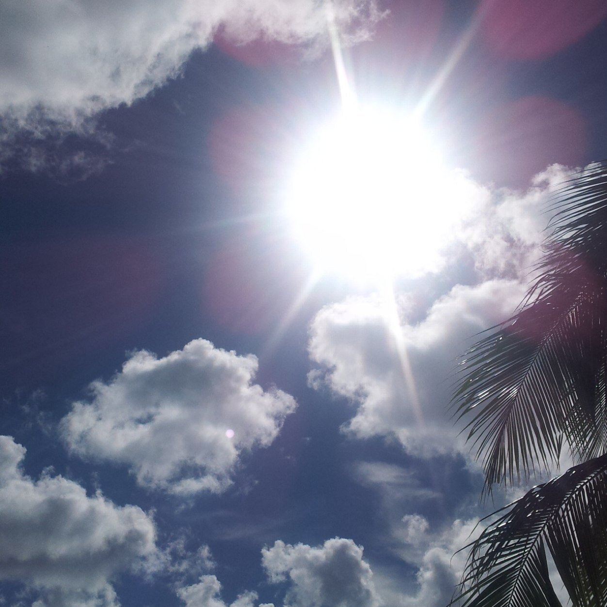 UtyujinNo1's profile picture. 