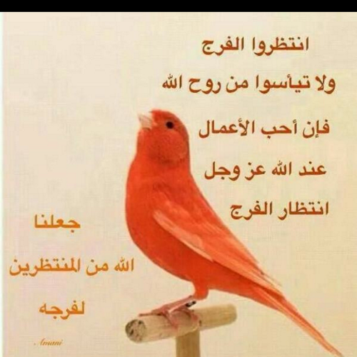 aaaa11220_aa's profile picture. 