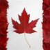 Tracey (@mapletreecanada) Twitter profile photo