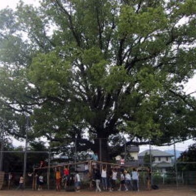 朝倉小学校あるある Asakuraesaruaru Twitter