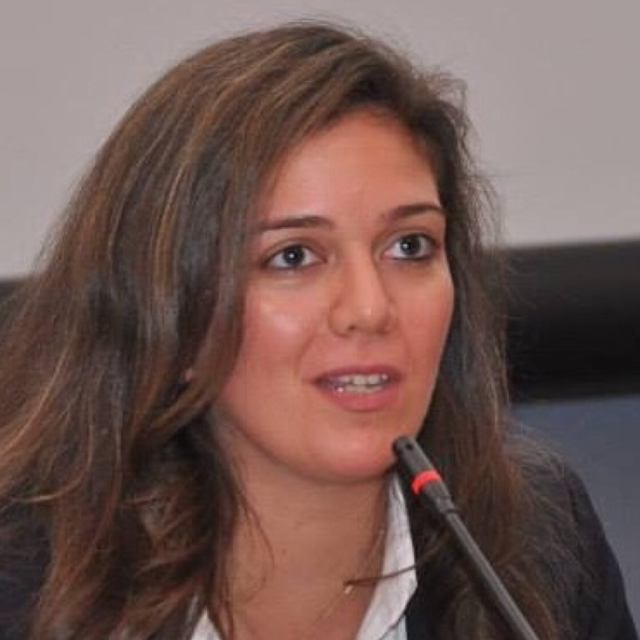 aliaa_bassiouny's profile picture. Associate Professor of Finance, Washington and Lee University. AUC. PhD-ESADE Business School. Interests: Arbitrage, Stock Market Microstructure, Investments.