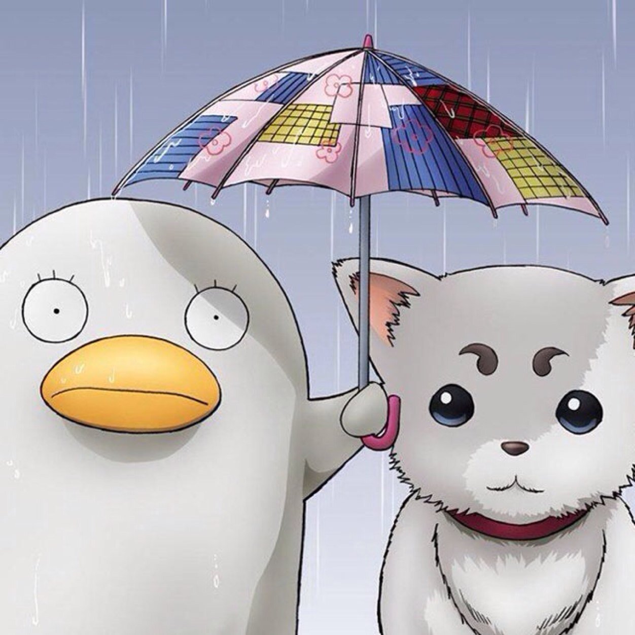 matsui0508's profile picture. 