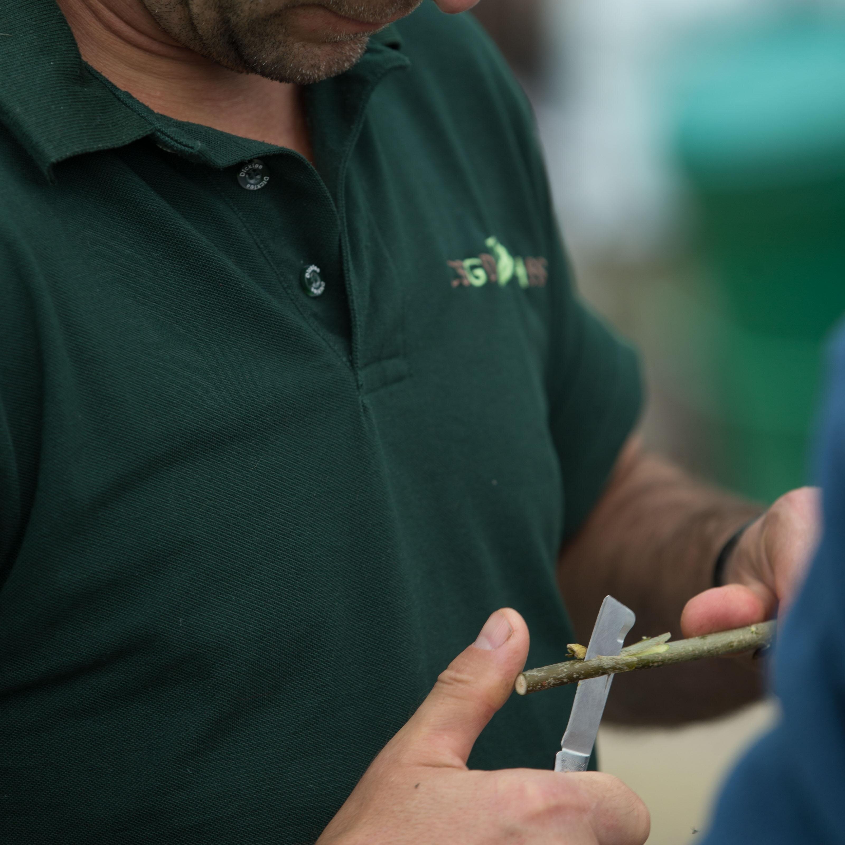 Heritage Horticulture Skills Scheme focuses on the practical side of horticulture allowing trainees to become specialists in their field.