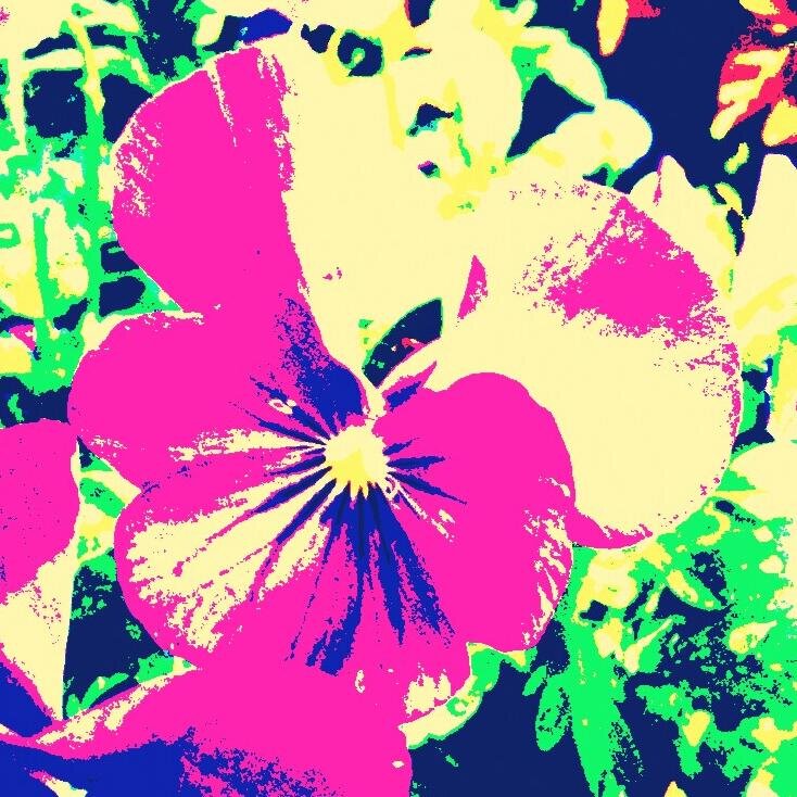 6netsuki9's profile picture. 私立中高一貫。→医療職。TKG(だった)。[@6negura9]の別垢。朝ドラを見てたら遅刻(スレスレ)常習者に……。でもやめられない。UVERworld。NSW。