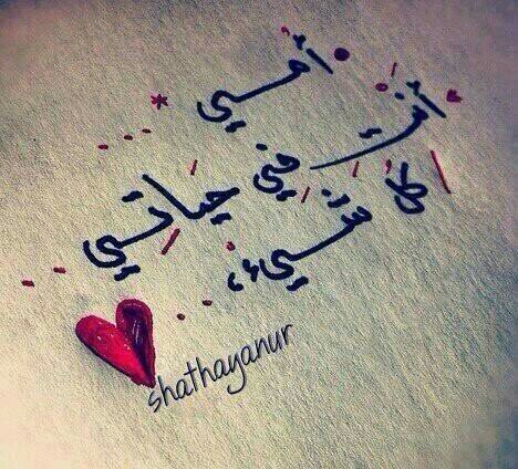 ss_alnahdi11's profile picture. 