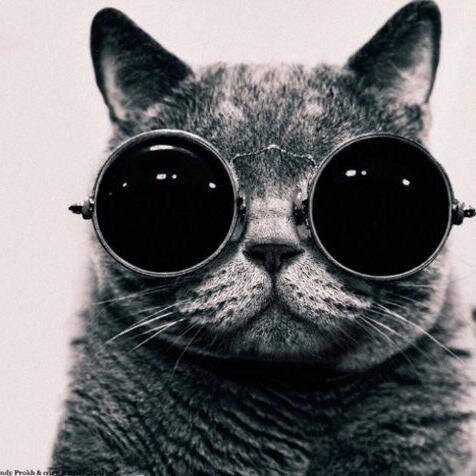 MASSIVE movie buff, sushi lover, clean freak, obsessed with astronomy, and possibly a crazy cat lady...