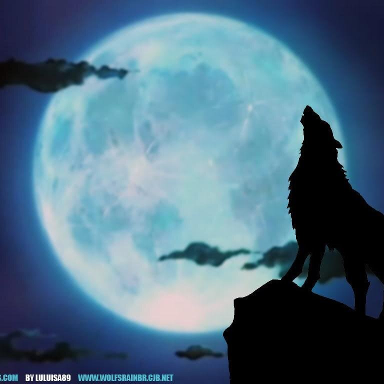 huyhn310's profile picture. Blockchain | Web3 | Startup