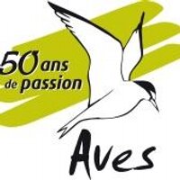 Aves(@AvesBE) 's Twitter Profile Photo