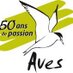Aves (@avesbe) Twitter profile photo Aves (@avesbe) Twitter profile photo