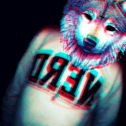 OliveiraLucas9's profile picture. '-'