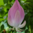 Vicky Chandler - @VicksterC - Twitter