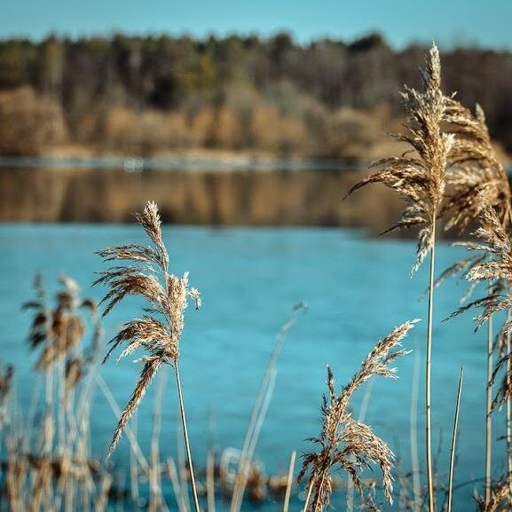 enimaE's profile picture. 