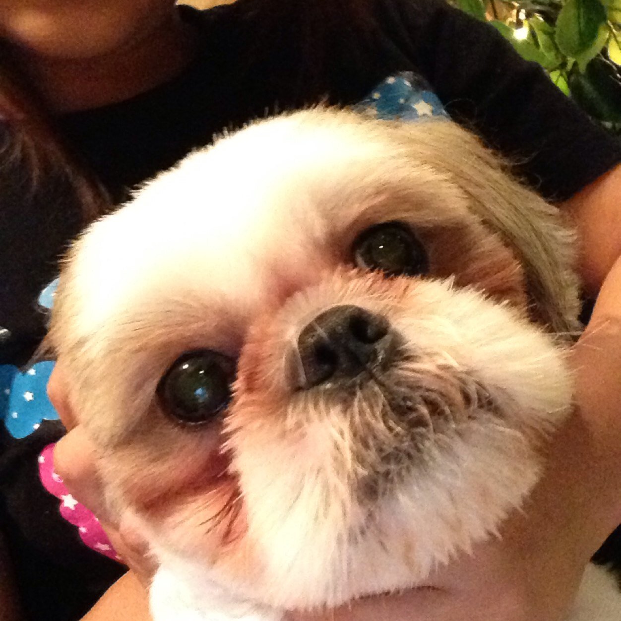 netjob_follow's profile picture. 