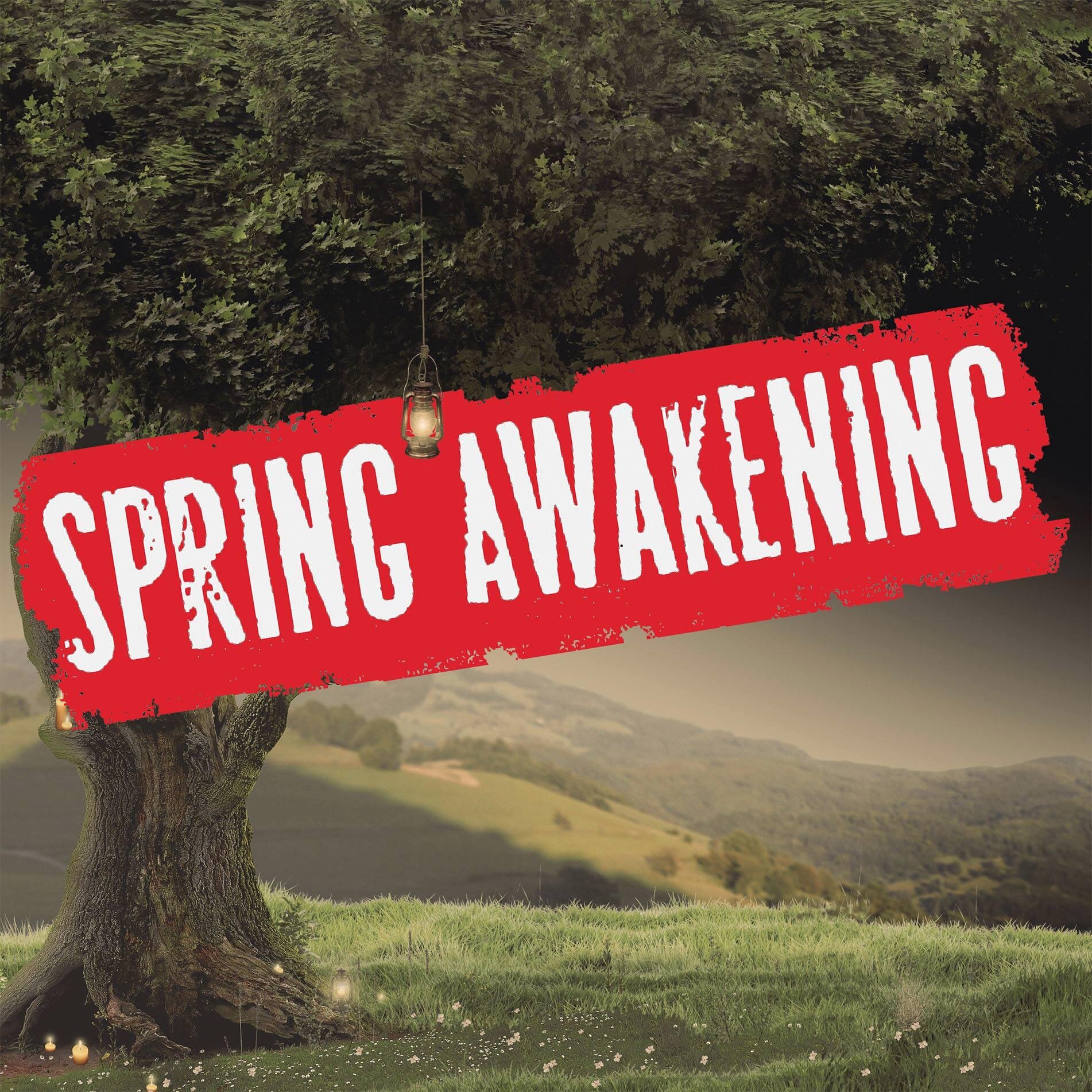 Official Twitter for the new Sydney based independent production of Spring Awakening. June 2014.