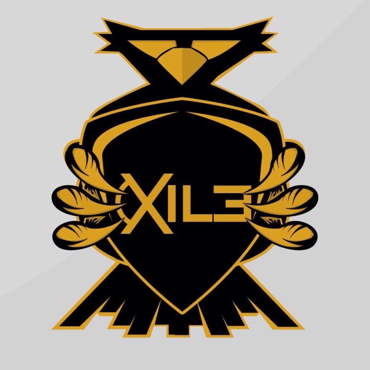 XiLeGaming_Eu's profile picture. We are an Eu Clan LF1 Must Have a Mic and From Ireland or Uk Smg Obj Player