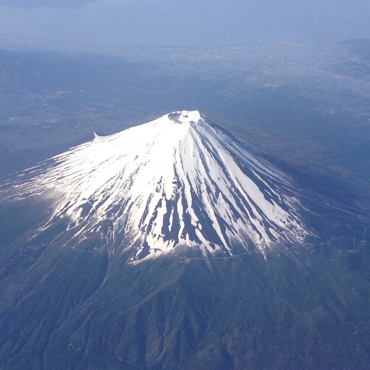「なまか」のもとへ走ります! 飛びます!