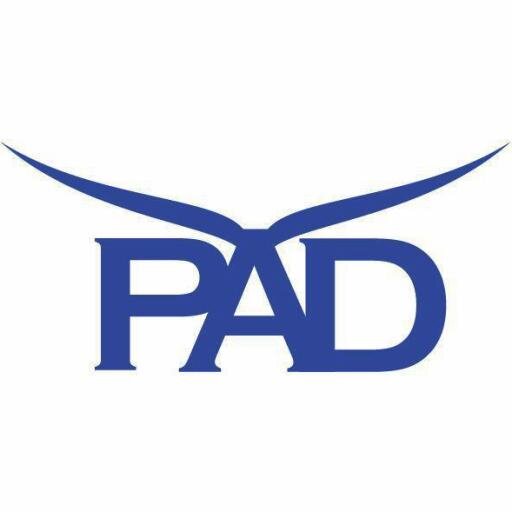 KirkPuckett's profile picture. Paragon Aviation Detailing, located in the greater DC area. Professional interior and exterior aircraft detailing, and are firm believers in keeping it Green.