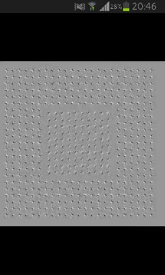 BergsmaMarc's profile picture. (You only live once)