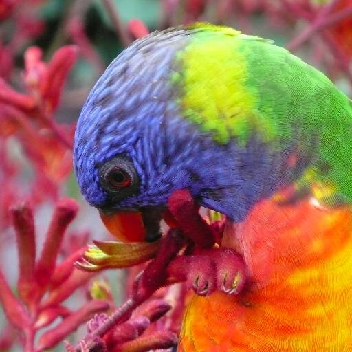 kattiw's profile picture. I'm on top of the world! how did I get here? I'm so grateful!