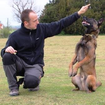 Owner of South Cambs Dog Training Club