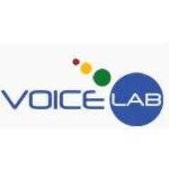Voicelab_'s profile picture. Voicelab is a Polish company specialized in creating and developing noise reduction and speech recognition technology