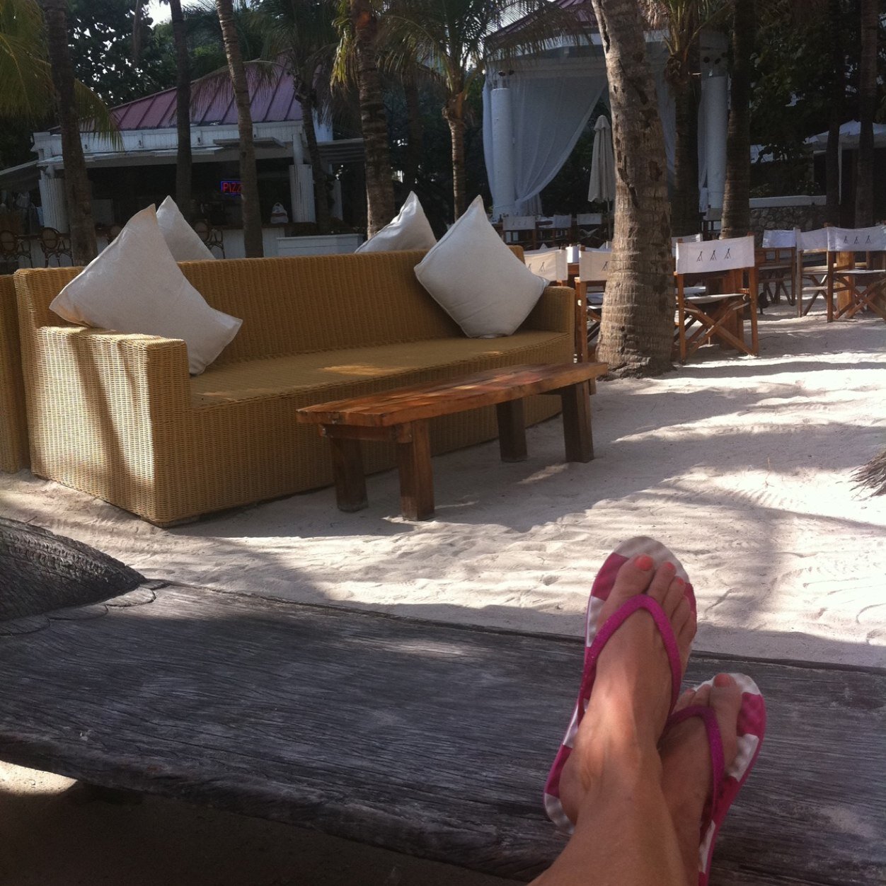 michellelach's profile picture. 