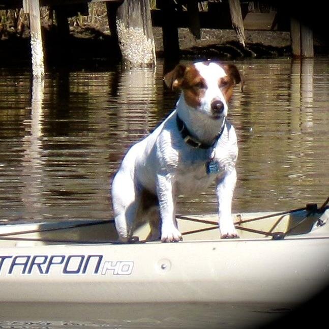 Follow for Kayaking conditions here on the Forgotten Coast
