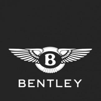 Luxury Chauffeur Services. VIP, Events, Airport Transfers, Weddings. 07917 878 361