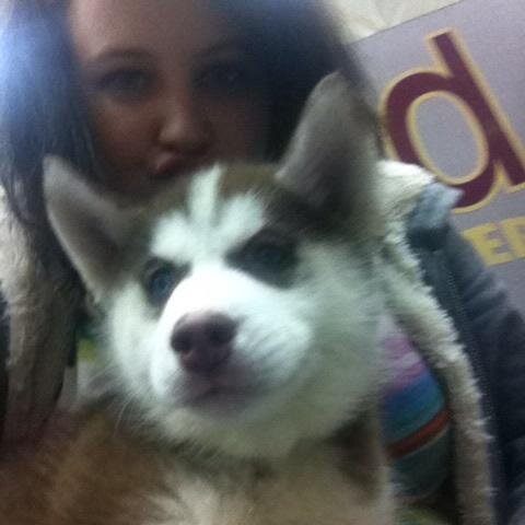 ZombieChick_20's profile picture. Im 5'6, Im 20 years old, I have Hazel eyes and I love to make people laugh,zombies,batman,glee, and I Love watching Horror Movies !