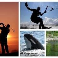 nickj37575596's profile picture. What do you call a Lazy person? A person without a dream