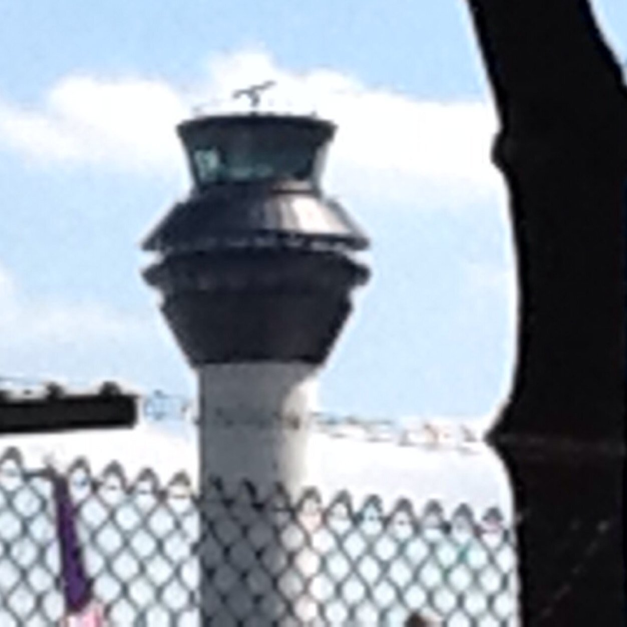 Age 7 planespotter goes the viewingpark and airport pub with my dad