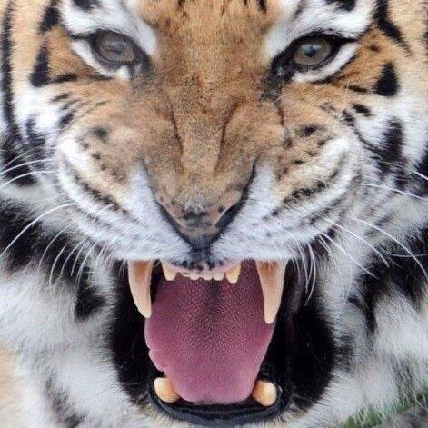 DanaPeterDD's profile picture. stellv. Chefred. bei Morgenpost