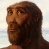 echaoaperde's profile picture. Conserje de la cueva