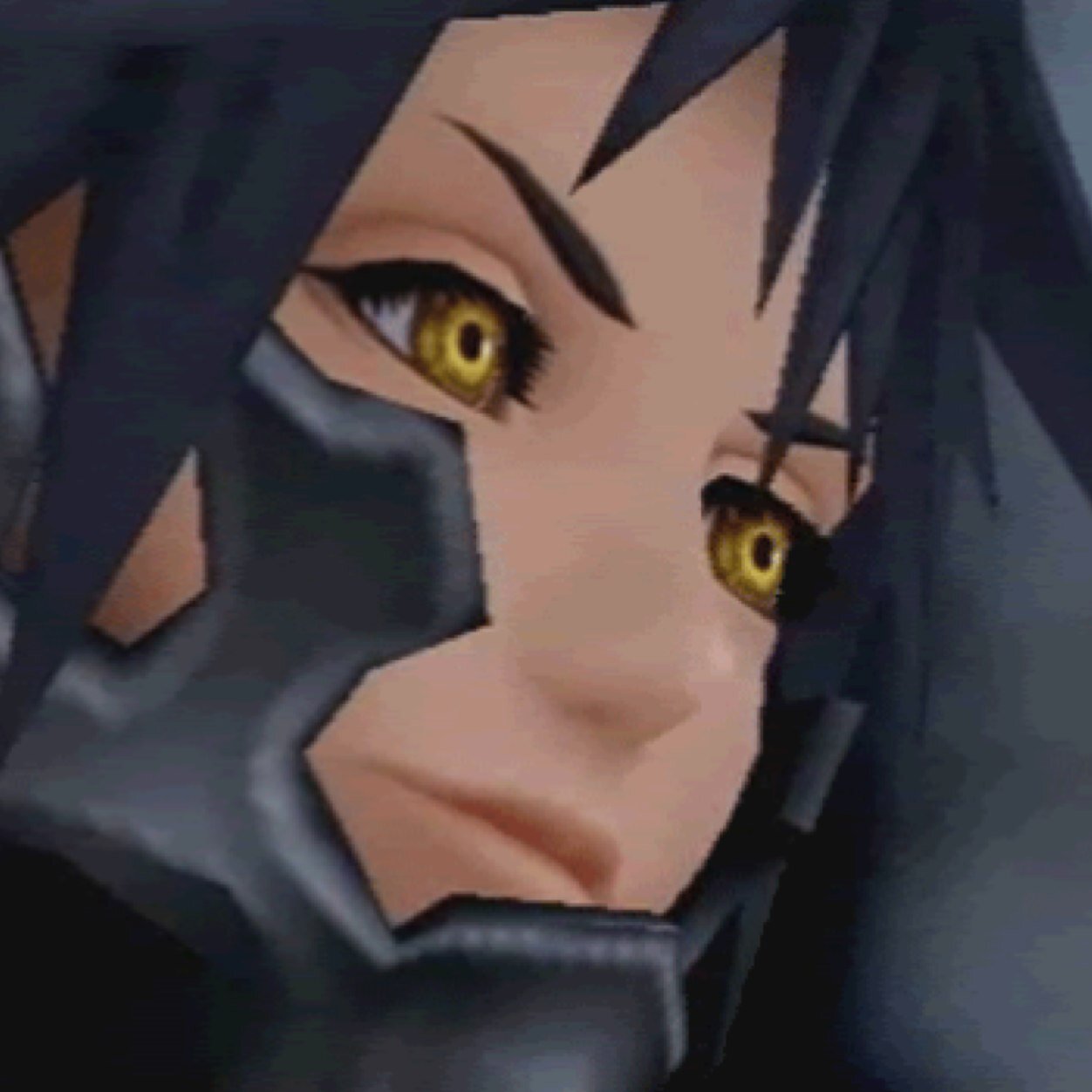 Mitad de Ventus y aprendiz del Maestro Xehanort. Pura oscuridad. Ando buscando la X-Blade. Sora se parece a mi y no al revés. Birth by Sleep.