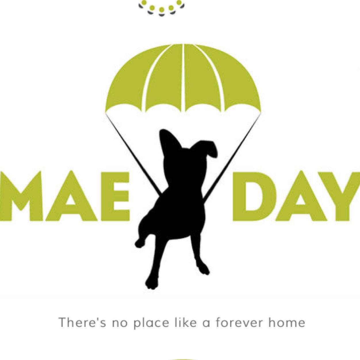 MaeDay rescue is a 501c3 animal rescue non-profit based in Los Angeles. We find homes for shelter and street dogs, while creating awareness about spay & neuter