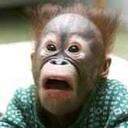 ROB - @ROB_CRAIG - Twitter