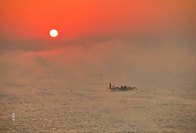 lldpe1's profile picture. 