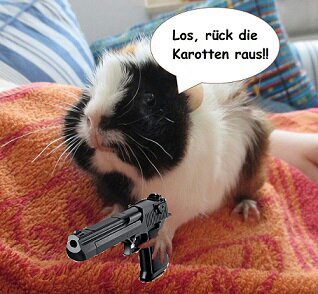 Meerschweinchenbilder, Comics, und mehr ;-)
Mehr auf auf Meerschweinchentower.de