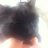 Profile Picture of Adam Bastarache (@@adambass21) on Twitter