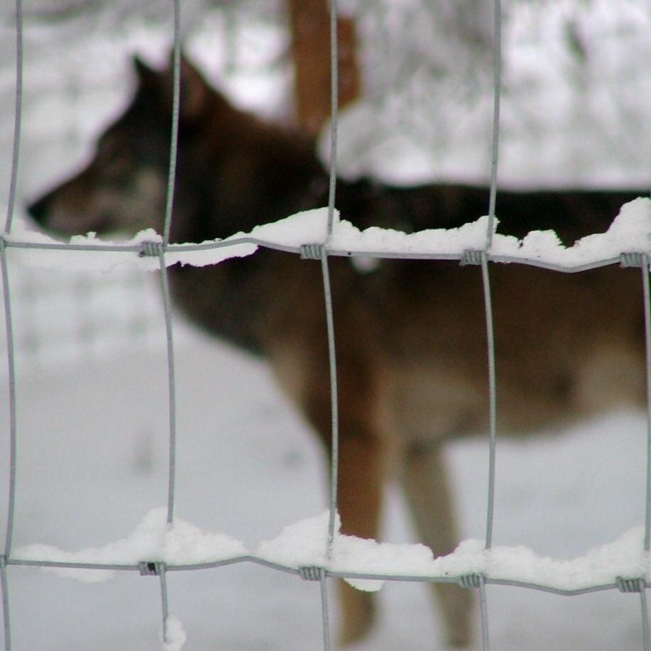 TShortbreadque's profile picture. Packets of analysis you can read in your tea break.
Commentary on history, politics, current affairs, F1 and tennis.
Politics editor @Quark_Online