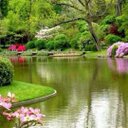 Avajoy Jacobs - @AvajoyJ - Twitter